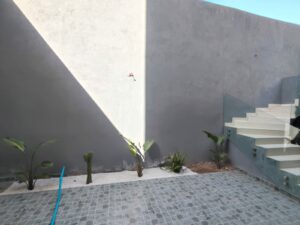 WhatsApp Image 2026-03-13 at 17.30.32 (1)