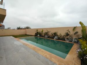 WhatsApp Image 2026-03-14 at 13.41.23