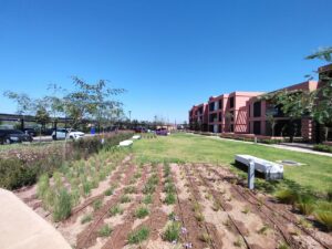 WhatsApp Image 2026-03-16 at 19.05.11 (1)