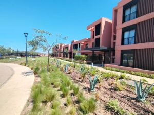 WhatsApp Image 2026-03-16 at 19.05.11 (2)