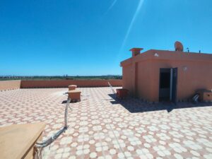 WhatsApp Image 2026-04-02 at 19.30.36 (3)