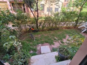 WhatsApp Image 2026-04-27 at 18.30.02 (2)